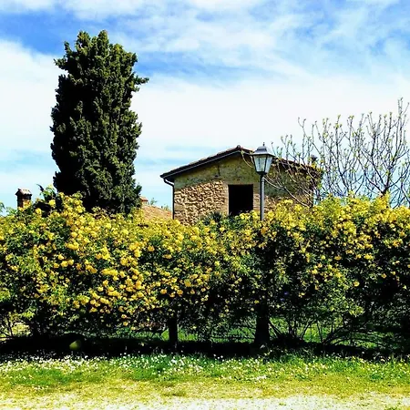 La Cana Dolce * Bertinoro