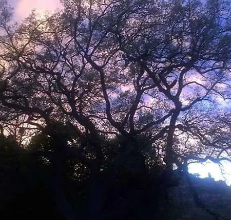 La Cana Dolce Bertinoro