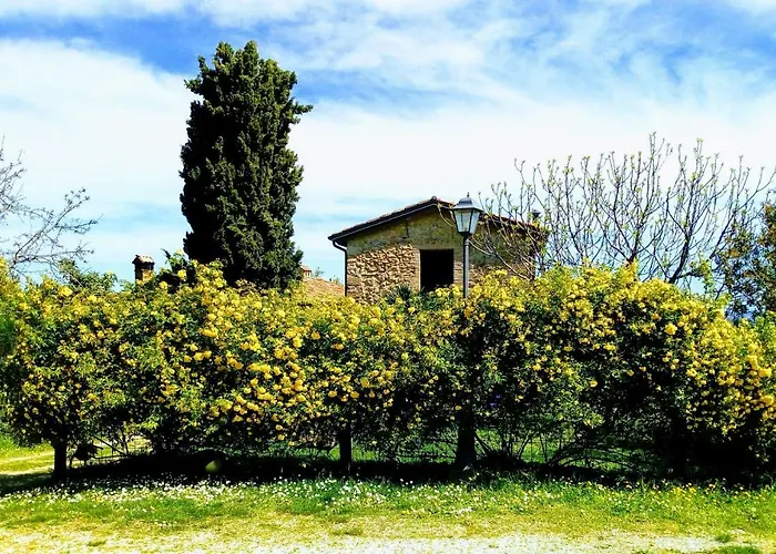 La Cana Dolce * Bertinoro